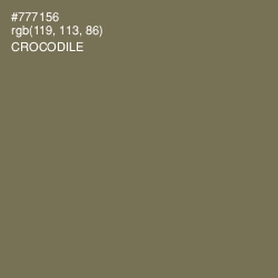 #777156 - Crocodile Color Image