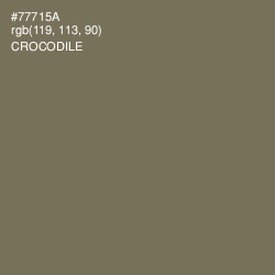 #77715A - Crocodile Color Image