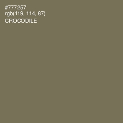 #777257 - Crocodile Color Image
