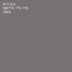 #777374 - Tapa Color Image