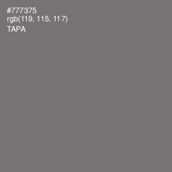 #777375 - Tapa Color Image