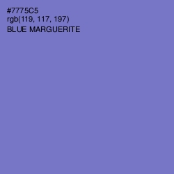 #7775C5 - Blue Marguerite Color Image