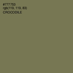 #777753 - Crocodile Color Image