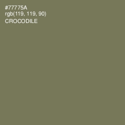 #77775A - Crocodile Color Image