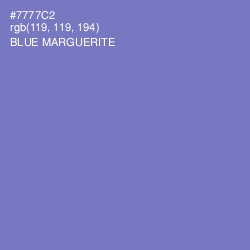 #7777C2 - Blue Marguerite Color Image