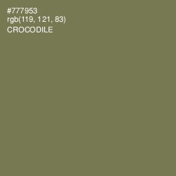 #777953 - Crocodile Color Image