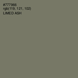 #777966 - Limed Ash Color Image