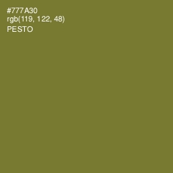 #777A30 - Pesto Color Image