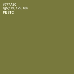 #777A3C - Pesto Color Image