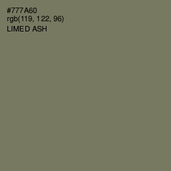 #777A60 - Limed Ash Color Image