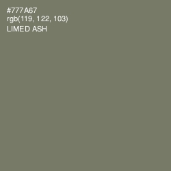 #777A67 - Limed Ash Color Image