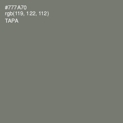 #777A70 - Tapa Color Image