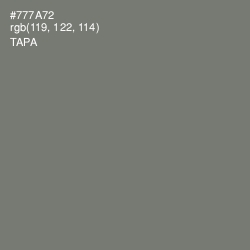 #777A72 - Tapa Color Image