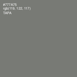 #777A75 - Tapa Color Image