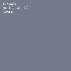 #777A8B - Raven Color Image