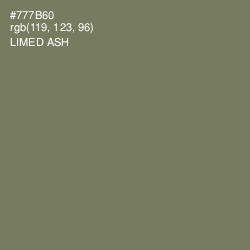 #777B60 - Limed Ash Color Image