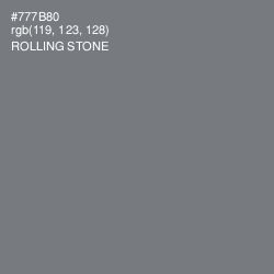 #777B80 - Rolling Stone Color Image