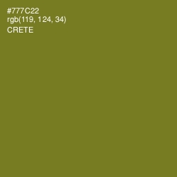 #777C22 - Crete Color Image