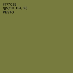 #777C3E - Pesto Color Image