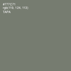 #777C71 - Tapa Color Image