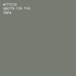 #777C72 - Tapa Color Image