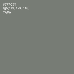 #777C74 - Tapa Color Image