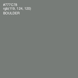 #777C78 - Boulder Color Image