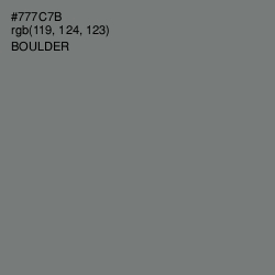 #777C7B - Boulder Color Image