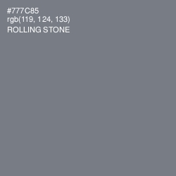 #777C85 - Rolling Stone Color Image