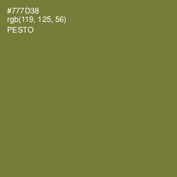 #777D38 - Pesto Color Image