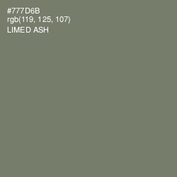#777D6B - Limed Ash Color Image