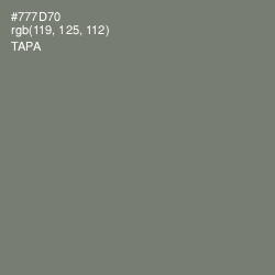 #777D70 - Tapa Color Image