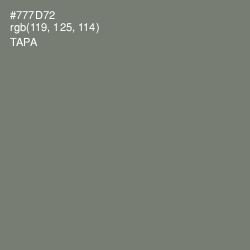 #777D72 - Tapa Color Image