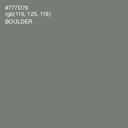 #777D76 - Boulder Color Image