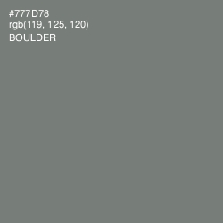 #777D78 - Boulder Color Image