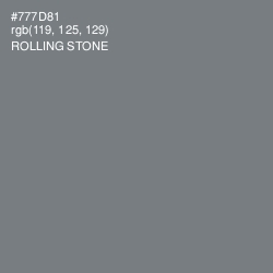 #777D81 - Rolling Stone Color Image