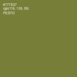 #777E37 - Pesto Color Image