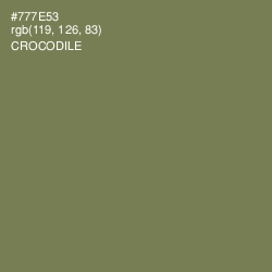 #777E53 - Crocodile Color Image