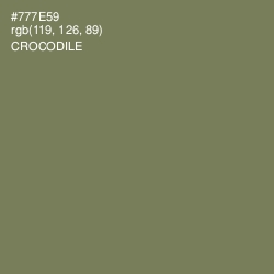 #777E59 - Crocodile Color Image