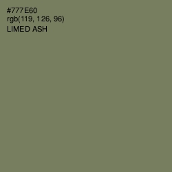 #777E60 - Limed Ash Color Image