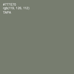 #777E70 - Tapa Color Image