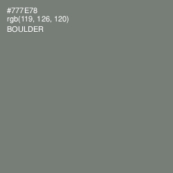 #777E78 - Boulder Color Image