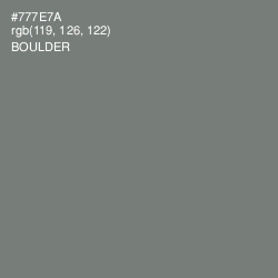 #777E7A - Boulder Color Image