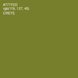#777F2D - Crete Color Image