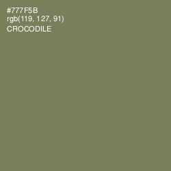 #777F5B - Crocodile Color Image