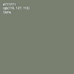 #777F71 - Tapa Color Image