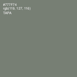 #777F74 - Tapa Color Image