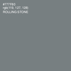 #777F80 - Rolling Stone Color Image