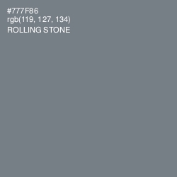#777F86 - Rolling Stone Color Image