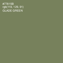 #77815B - Glade Green Color Image